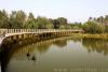 沈陽(yáng)鳥島情人橋