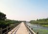 沈陽(yáng)鳥島情人橋
