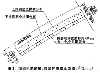 圖2 加固拱肋的錨、膠貼件布置正面圖（單位：cm）